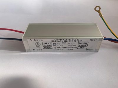 30W IP66 LED Driver